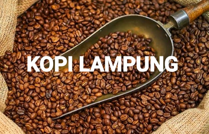 Mengenal Kopi Lampung Ini Wilayah Penghasilnya Tribratanews Polda