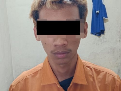 Setubuhi Anak Dibawah Umur di Kebun Karet, Pelaku Berhasil Ditangkap Tekab 308 Polsek Seputih Banyak