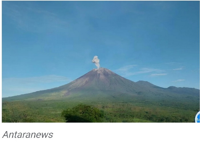 Waspada, Gunung Semeru Kembali Erupsi Setinggi 800 Meter