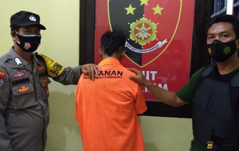 Seorang Pelaku Curat Bobol Rumah di Pekon Tekad Berhasil Ditangkap Polsek Pulau Panggung