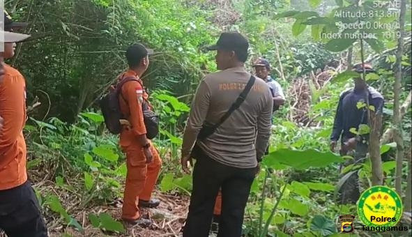 Polres Tanggamus dan Basarnas Terus Melakukan Pencarian Korban Hilang di Gunung Tanggamus