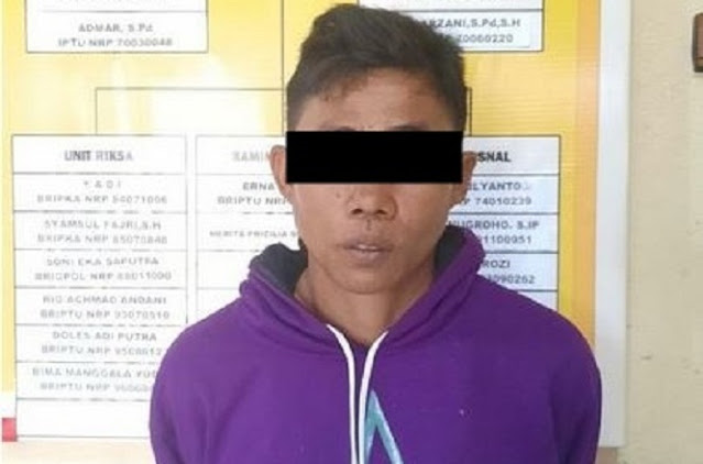 DPO Pelaku Curanmor Melarikan Gadis di Purbolinggo Ditangkap Polisi