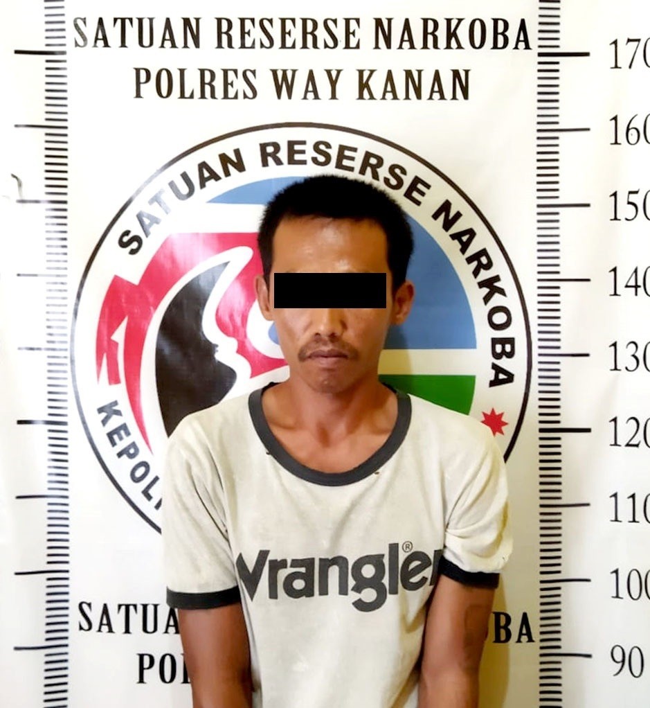 Polres Way Kanan Amankan Pelaku Diduga Edarkan dan Penyalahgunaan Sabu  