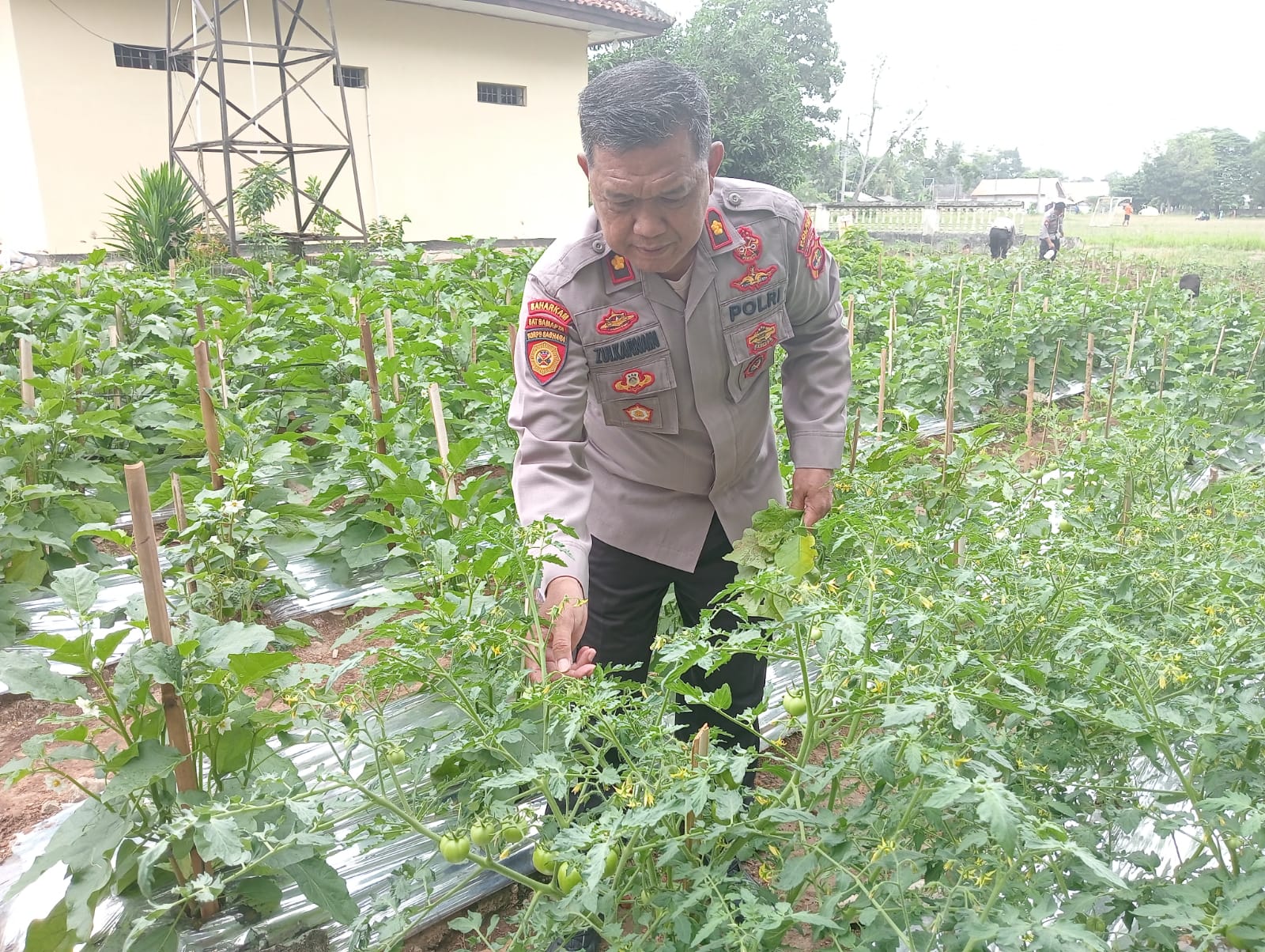 Polsek Sukadana Gelar Program Ketahanan Pangan untuk Dukung Swasembada Pangan