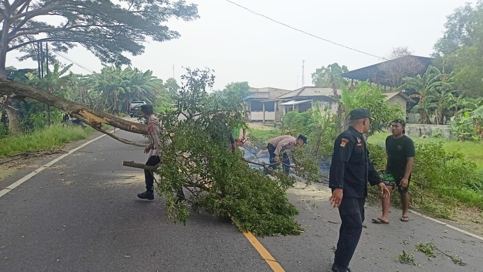 Personil Pos PAM Polres Lampung Timur Bersihkan Dahan Pohon, Dukung Keselamatan Arus Mudik