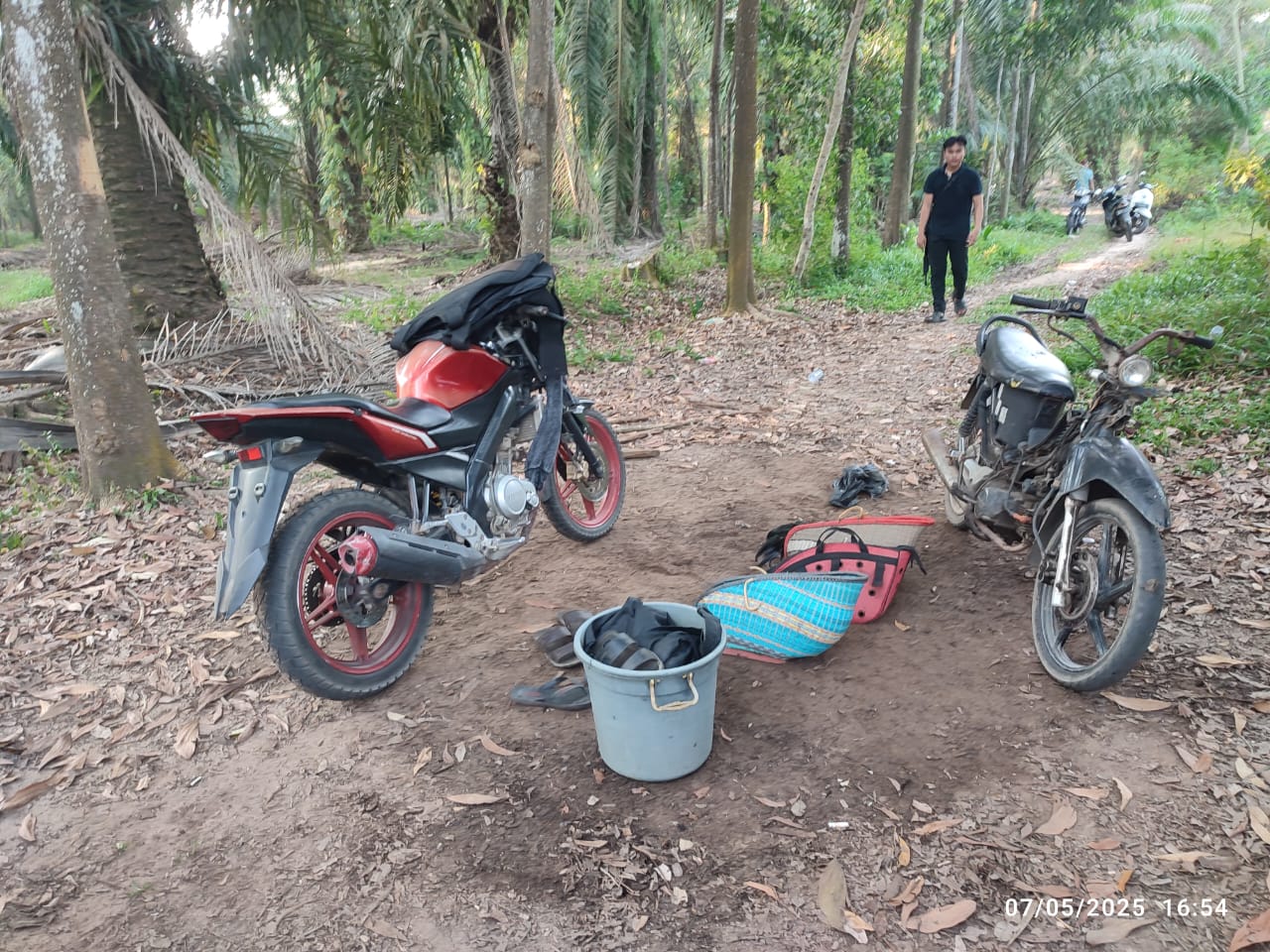 Polisi Bubarkan Judi Sabung Ayam Di Lampung Timur