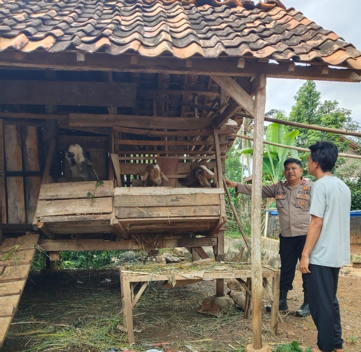 Cegah Pencurian Ternak Jelang Idul Adha, Bhabinkamtibmas Polsek Gedong Tataan Tinjau Peternakan Warga