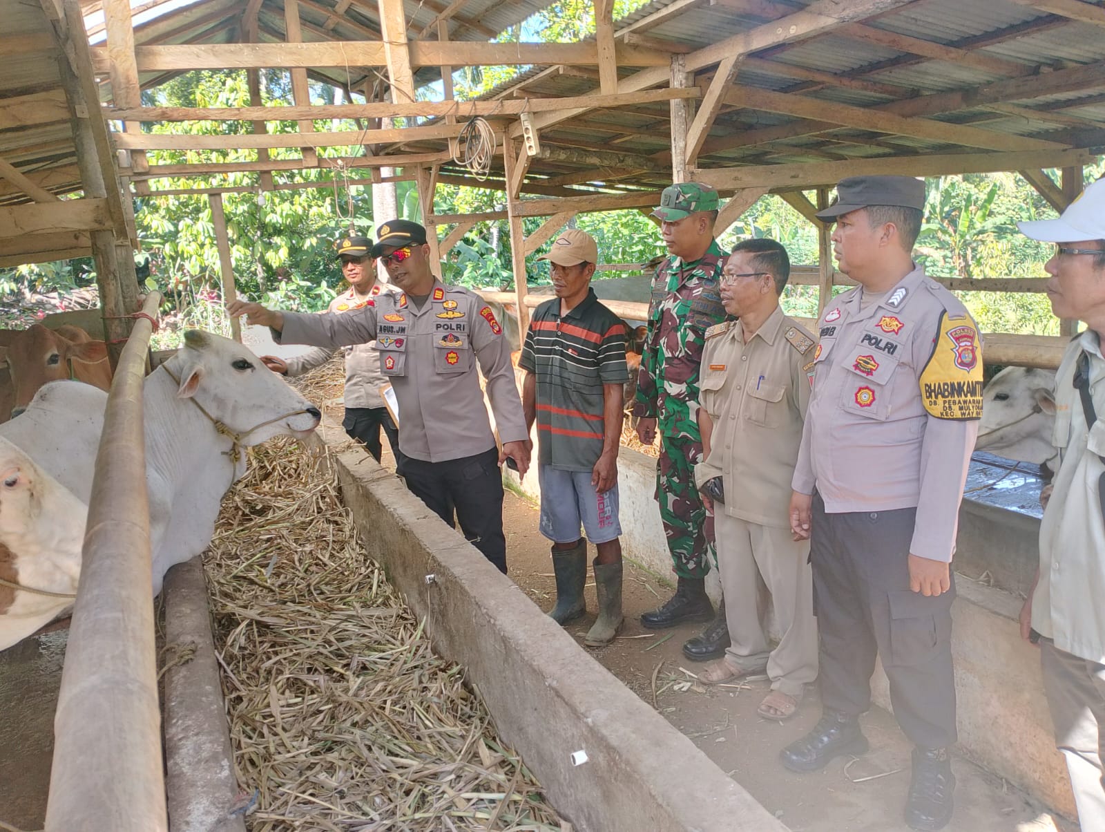 Polres Pesawaran Dorong Ketahanan Pangan Lewat Lomba Perkarangan Bergizi di Way Ratai