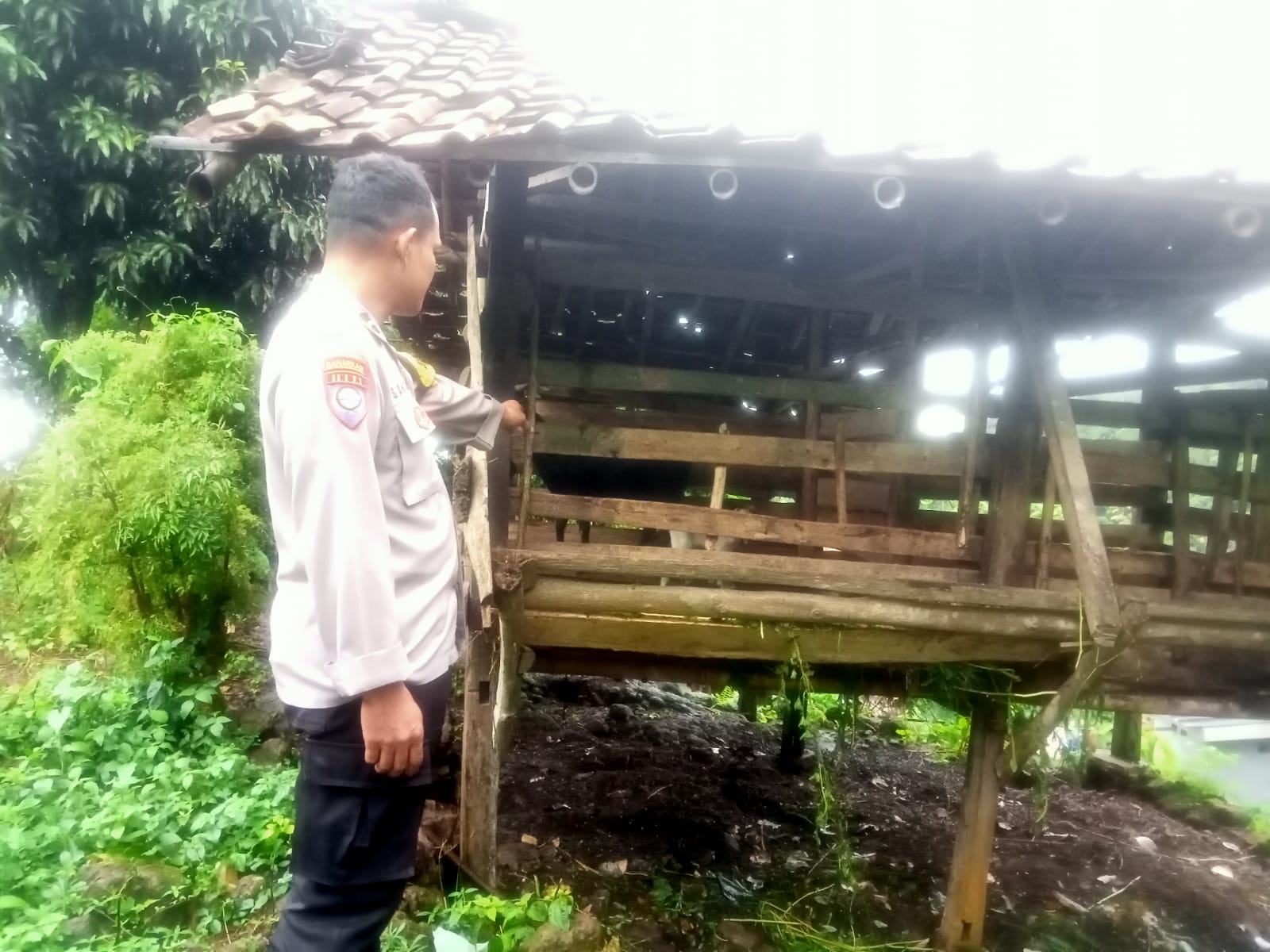 Bhabinkamtibmas Padang Cermin Monitoring Program Ketahanan Pangan di Desa Tanjung Agung