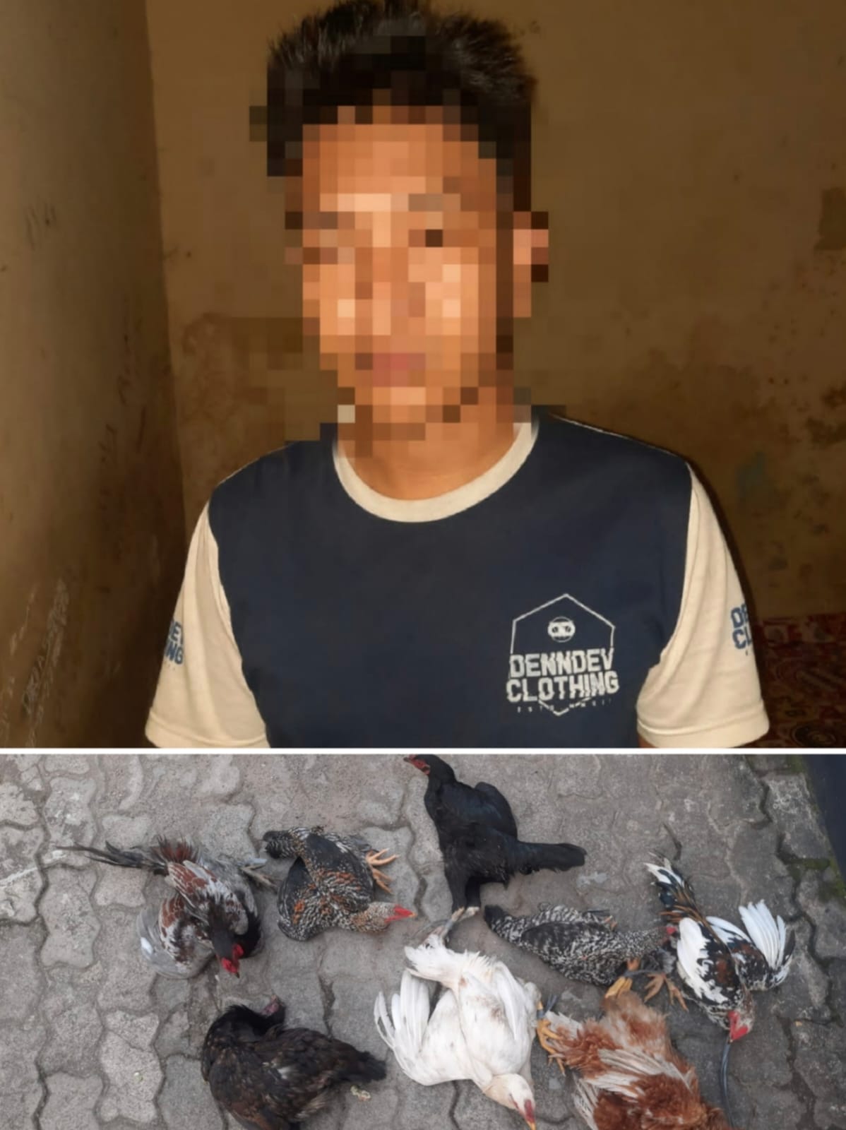 Dikepung Masa, Maling Ayam Diamankan Polres Lampung Timur