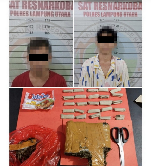 2 Tersangka Pengedar Daun Ganja Kering di Ringkus Satres Narkoba Polres Lampung Utara