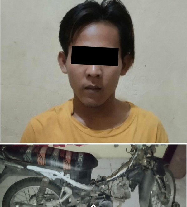 Ungkap Kasus CURANMOR Pelaku berhasil di bekuk unit reskrim Polsek Bengkunat Polres Pesisir Barat