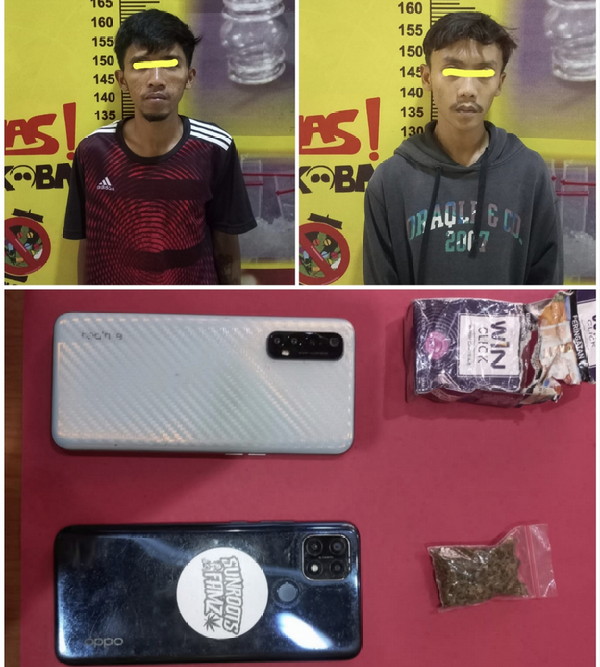 Sat Narkoba Polres Pesawaran Tangkap Dua Laki – Laki yang Membawa Narkotika Jenis Ganja