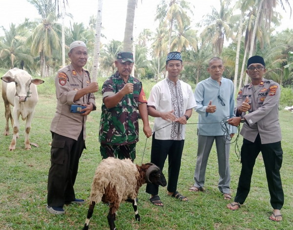 Momen Hari Raya Idul Adha, Polres Pesisir Barat pupuk sinergitas dengan TNI
