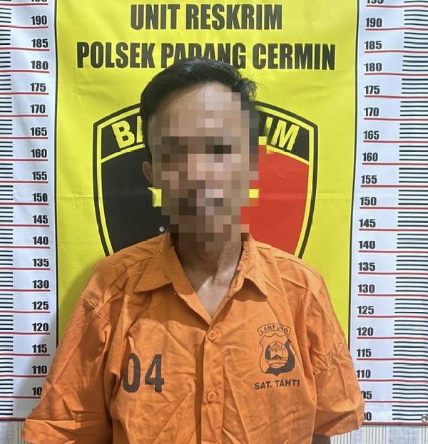 Polsek Padang Cermin Polres Pesawaran sergap Pelaku Tindak Pidana Penganiayaan