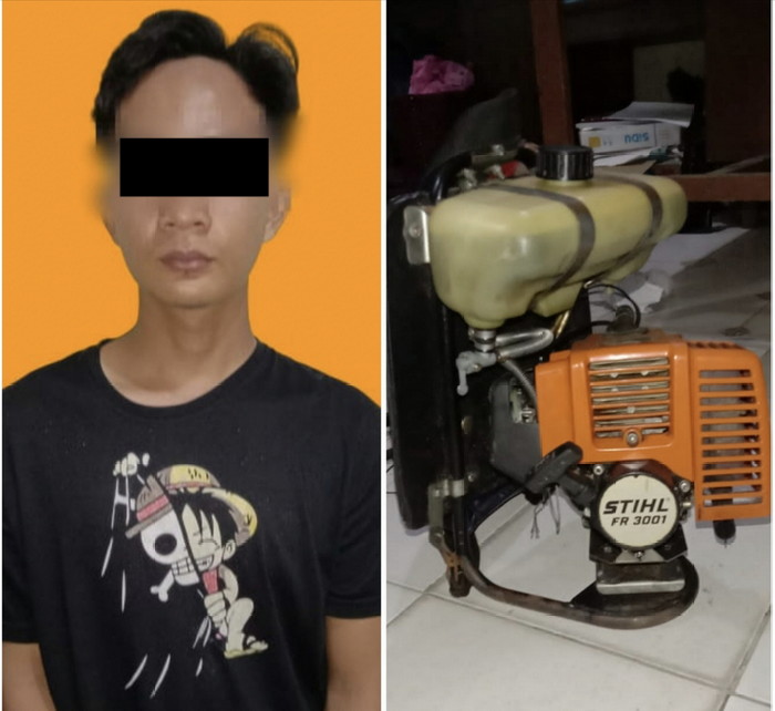 Tekab 308 Presisi Polres Pesisir Barat bekuk pelaku Pencurian Mesin Pemotong Rumput