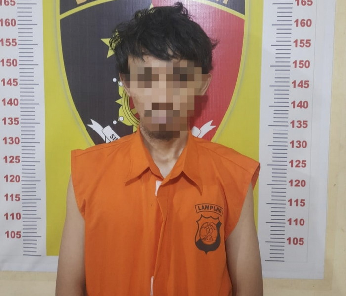 Mencuri TV, dua warga Purwodadi ditangkap Polsek Tanjung Bintang
