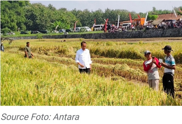 Tinjau Program Pompanisasi di Jawa Tengah, Presiden Jokowi Harap Bisa Tingkatkan Produktivitas Padi