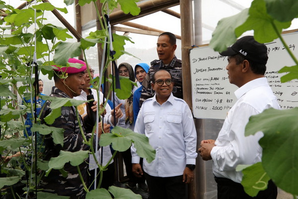 TNI AL Panen Raya Dilampung, Jaga Ketahanan Pangan wilayah