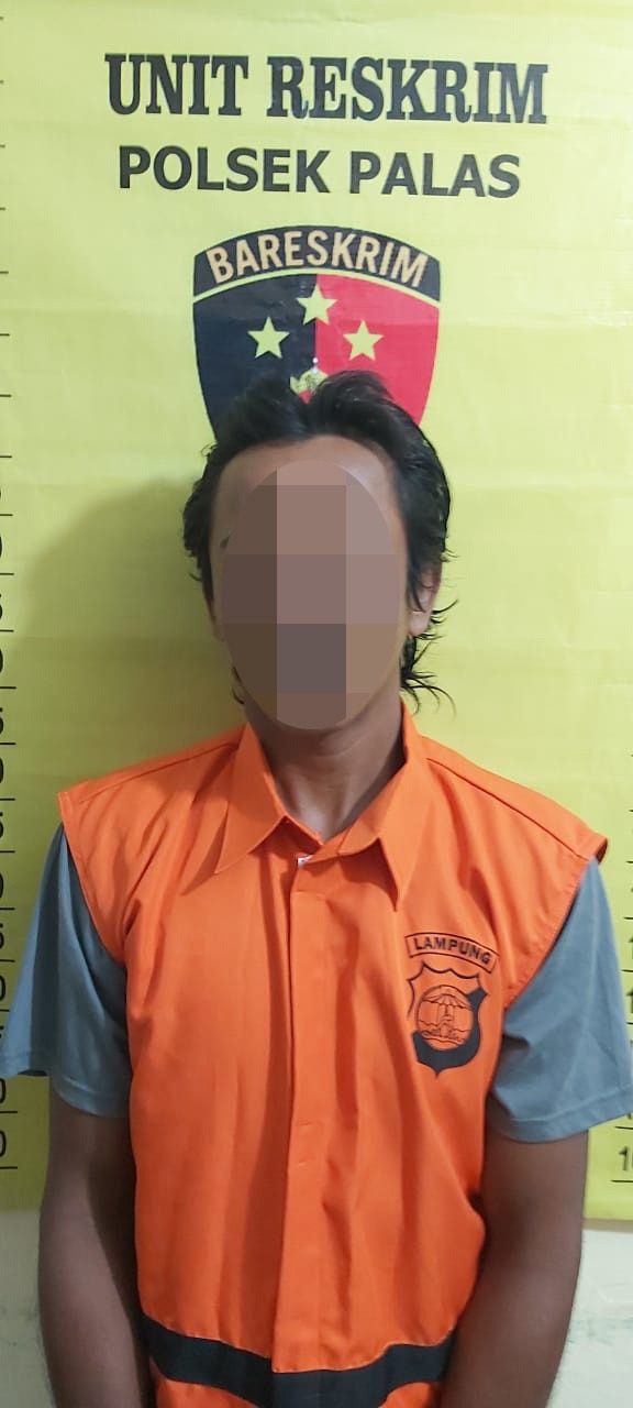 Pulang Ronda rudapaksa wanita bawah umur, di bekuk Polsek Palas