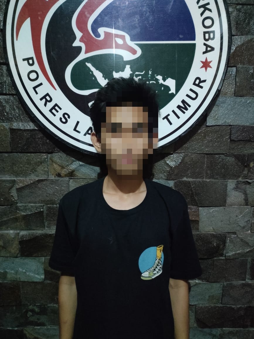 Edarkan Obat Terlarang, Seorang Pemuda Ditangkap Sat Narkoba Polres Lampung Timur
