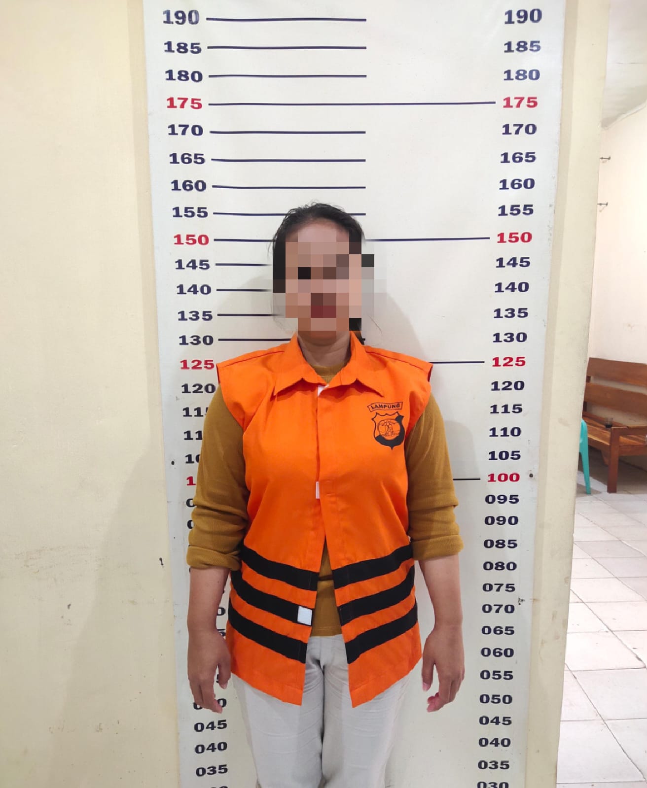 Imingi korban Bisnis Tiket Kapal, IRT diamankan Polisi.