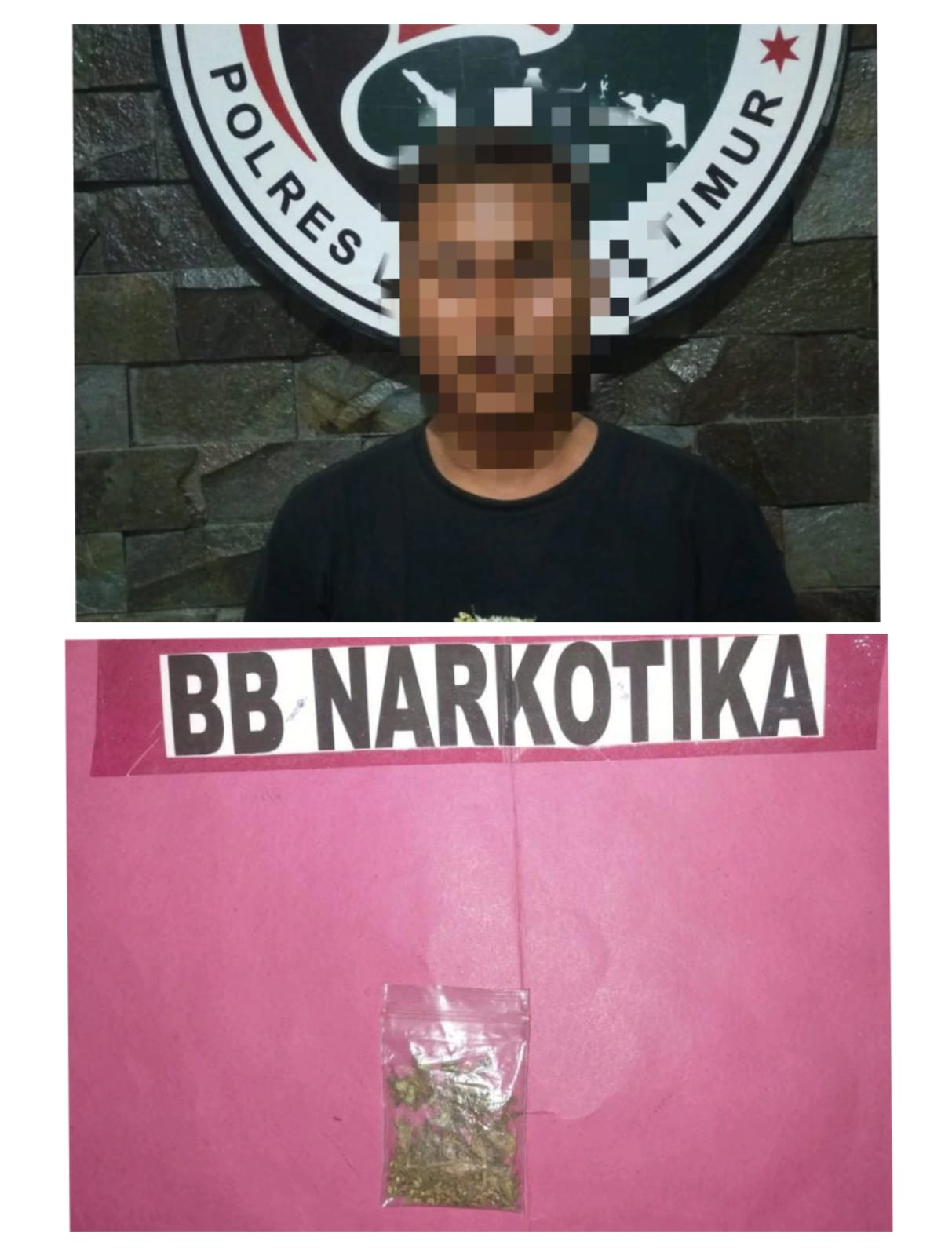 Tertangkap Tangan Membawa Ganja, Seorang Pemuda Diamankan Sat Res Narkoba Polres Lampung Timur
