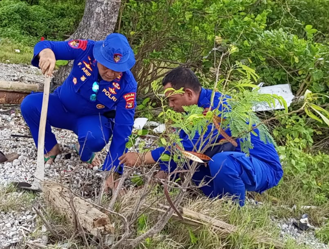 Sat Pol Air Polres Lampung Selatan & Bhayangkari tanam Mangrove di Pulau Rimau