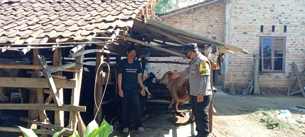 Himbau Warga Jaga Kebersihan Kandang Ternak, Bhabinkamtibmas Sambangi Warga