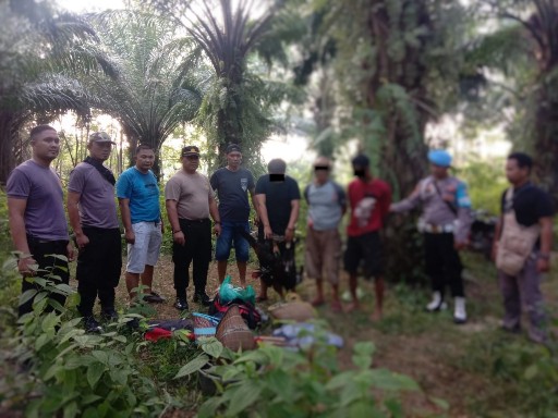 Polres Way Kanan Gerebek Judi Sabung Ayam