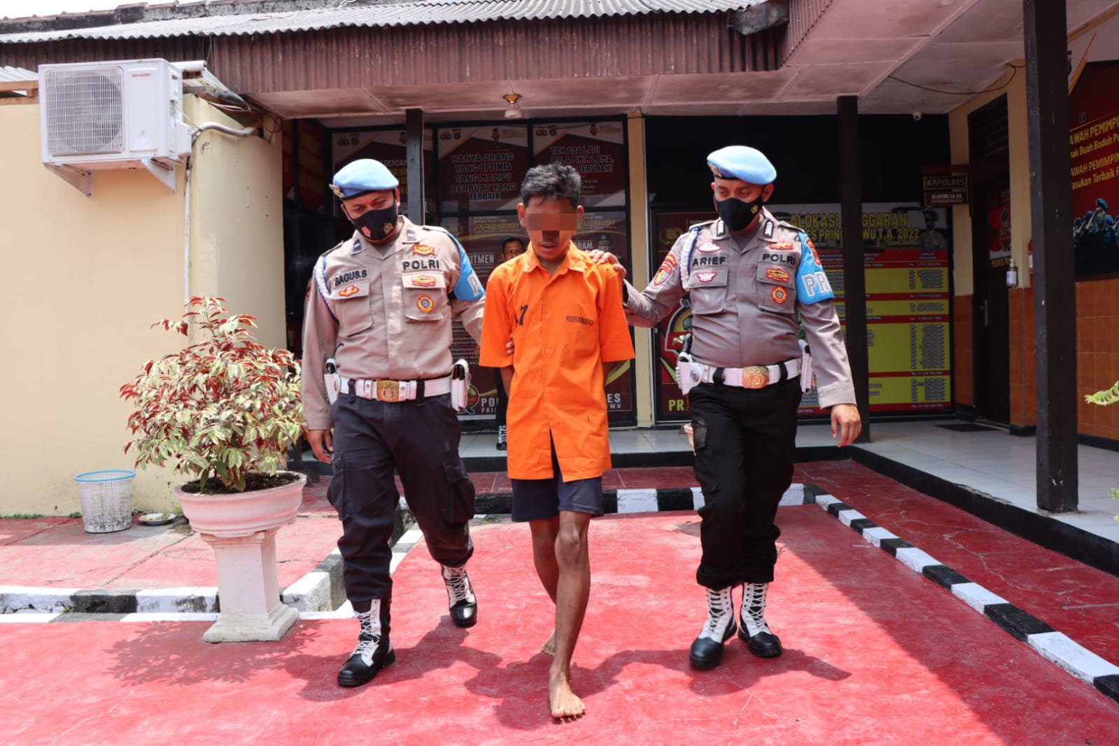 Setubuhi Anak Dibawah Umur Hingga Hamil, Pemuda Asal Sukoharjo Diringkus Unit PPA Satreskrim Polres Pringsewu