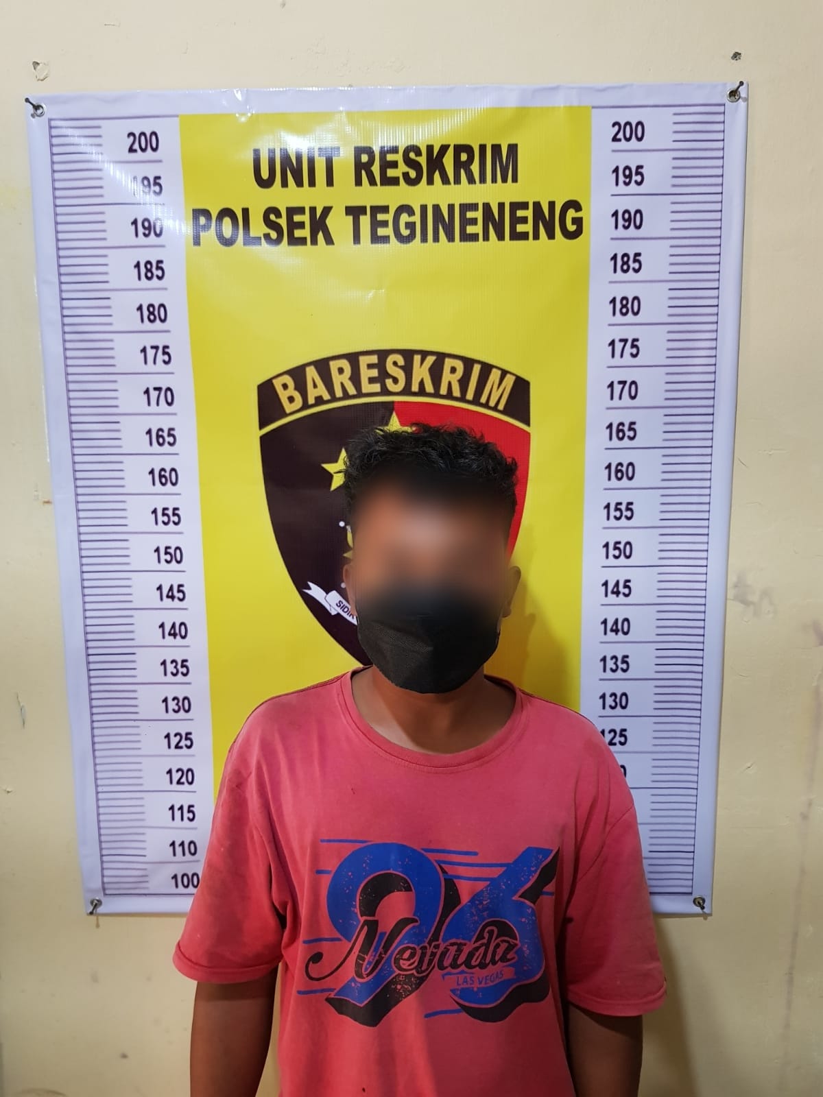 Polsek Tegineneng Berhasil Tangkap Seorang Pria yang Lakukan Laporan Palsu