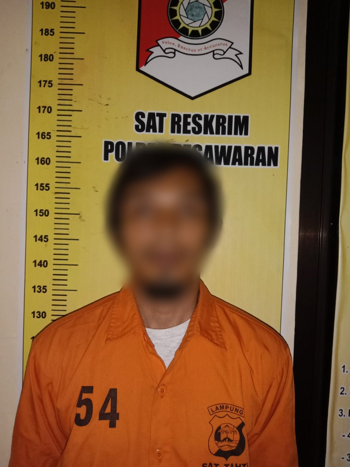 Satreskrim Polres Pesawaran Berhasil Tangkap Pelaku Pencabulan Terhadap Anak Kandung