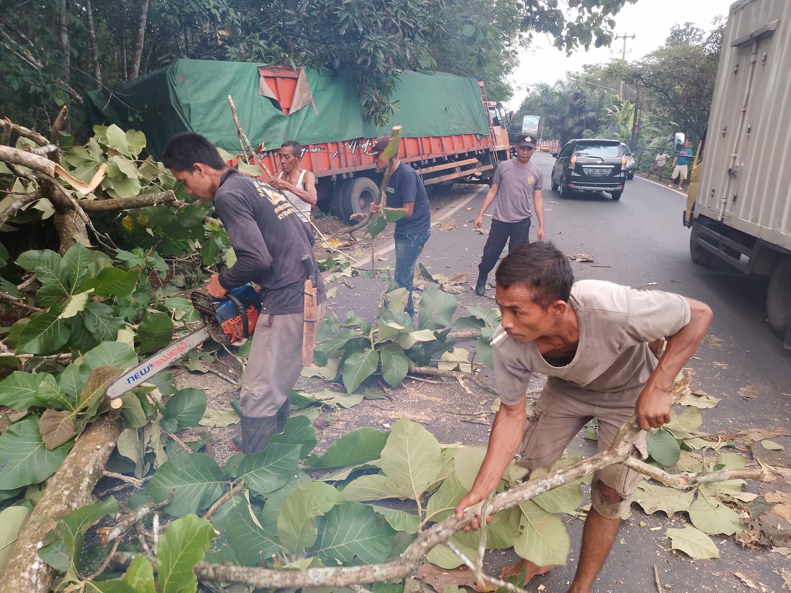 Bersama Warga Polisi Evakuasi Pohon Tumbang di Jalinsum
