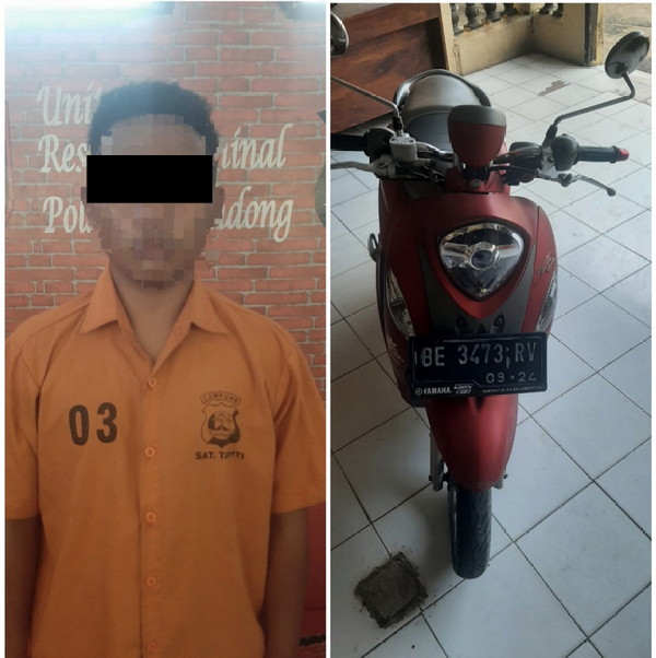 Nekat Gondol Sepeda Motor, Seorang Pria Remaja Di Bekuk Polsek Kedondong Polres Pesawaran