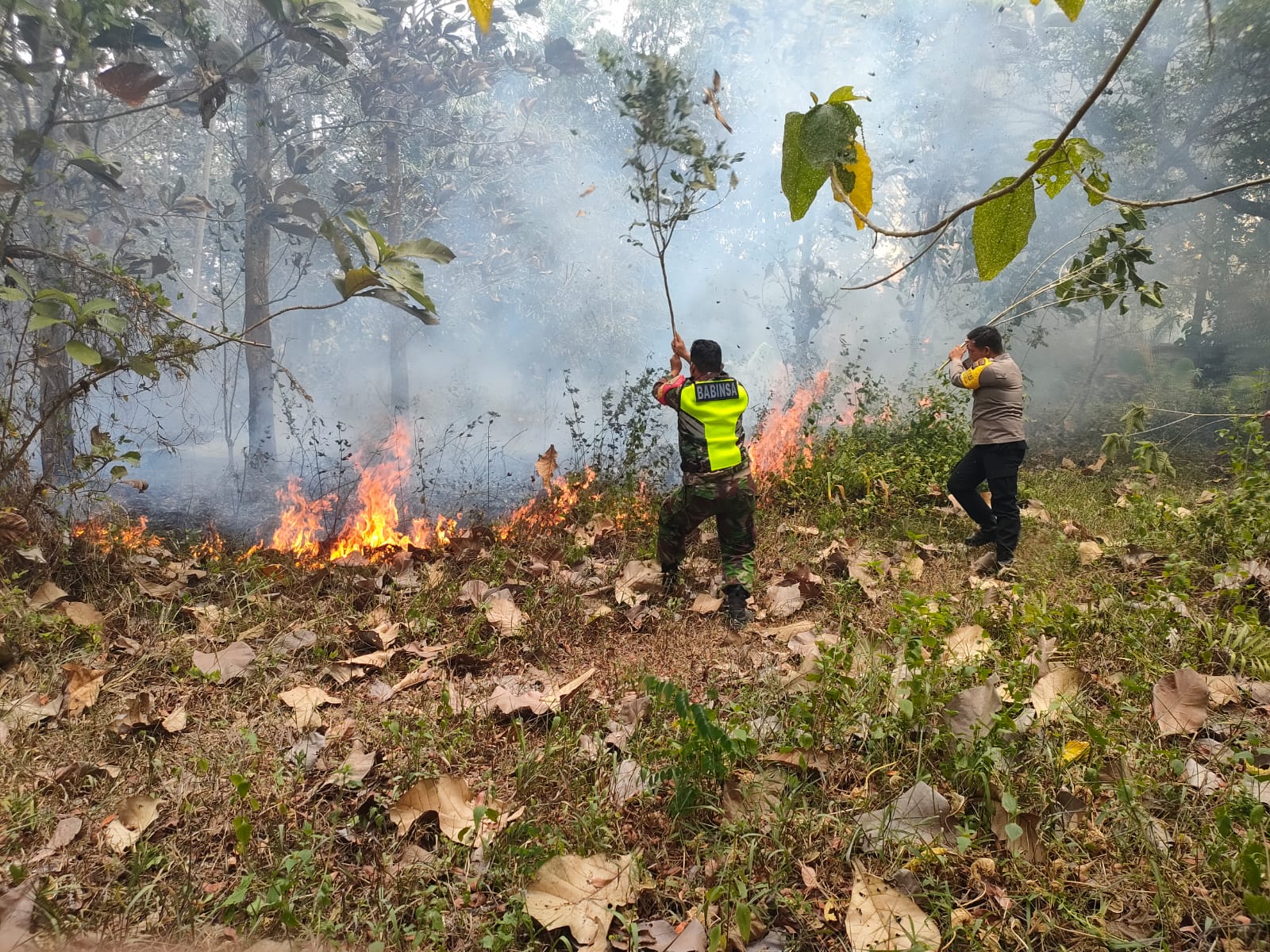 Kebakaran Lahan di Dusun Salahudin, Desa Negeri Sakti, Gedong Tataan, Pesawaran