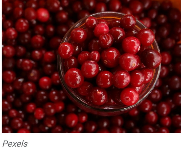 Jarang Diperhatikan, Ini Sederet Khasiat Jus Cranberry yang Baik bagi Tubuh